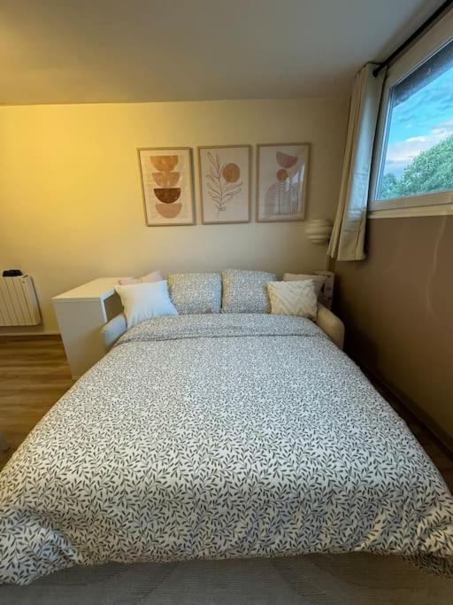 Studio Cosy Au Coeur Du Haut-Jura Foncine-le-Bas Buitenkant foto